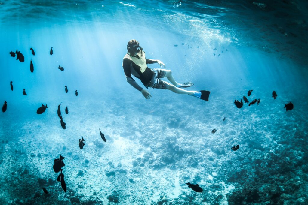 A man scuba diving with the fish.