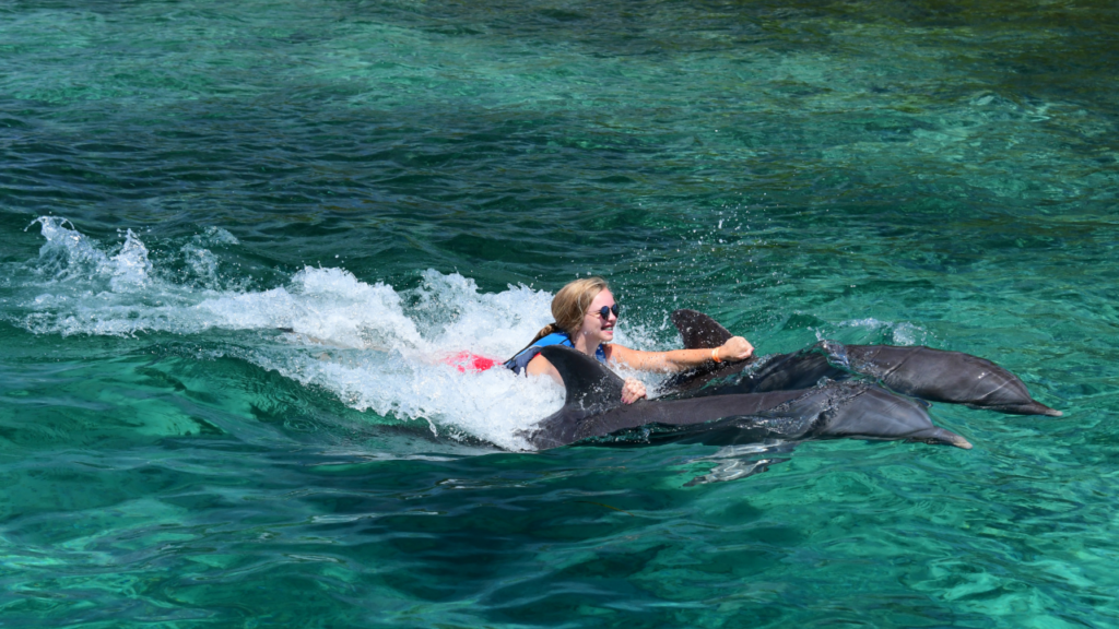 a woman being pulled by dolphins at Anthony’s Key Resort