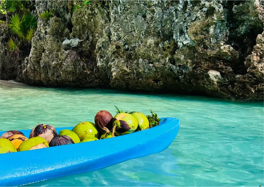 A canoe with fresh fruit in the ocean.