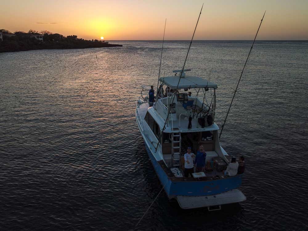 Arial view of a Sunset cruise