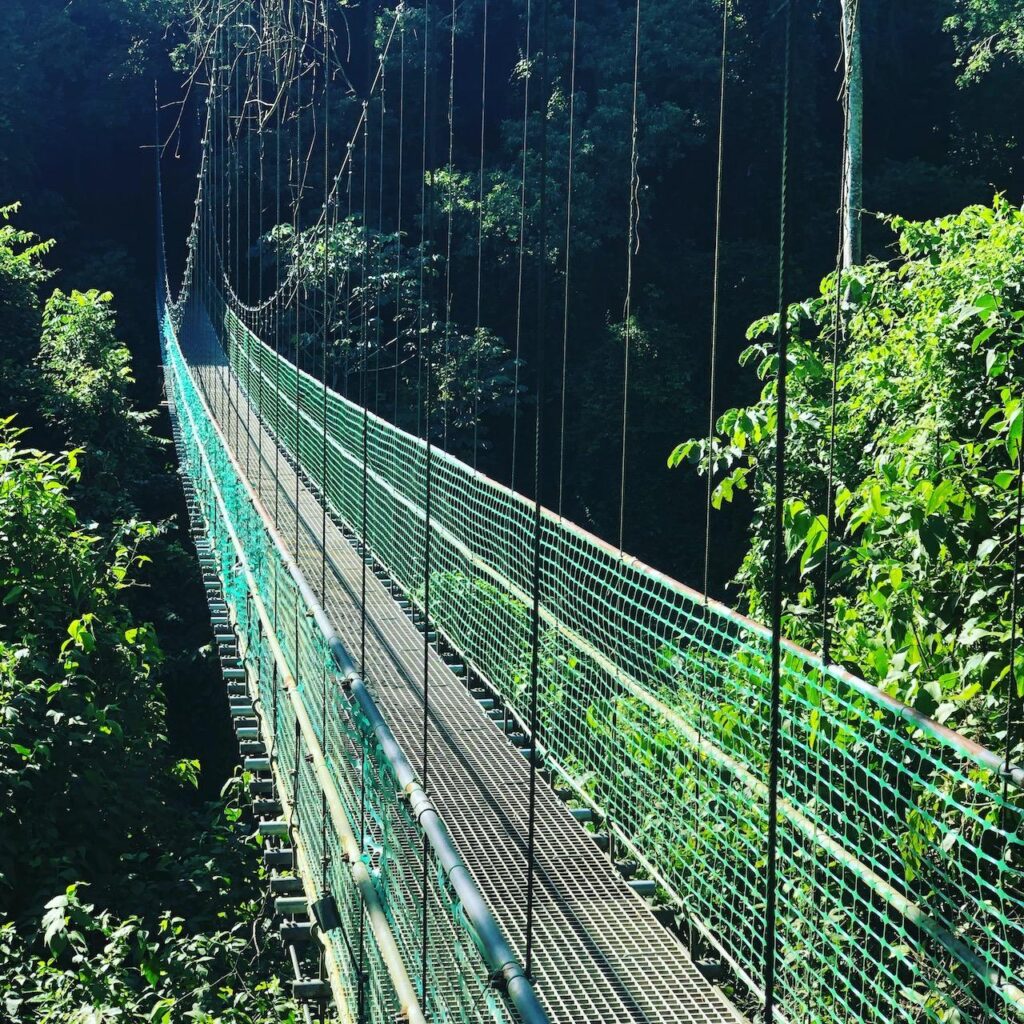 The bridge at south shore zipline