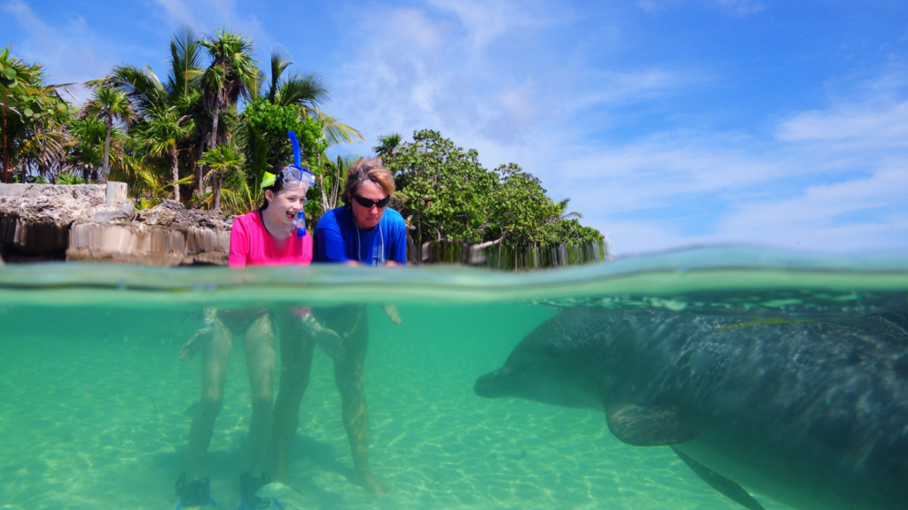 two people in the water with dolphins at Anthony’s Key Resort