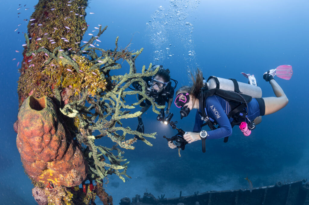 Two scuba divers near coral.