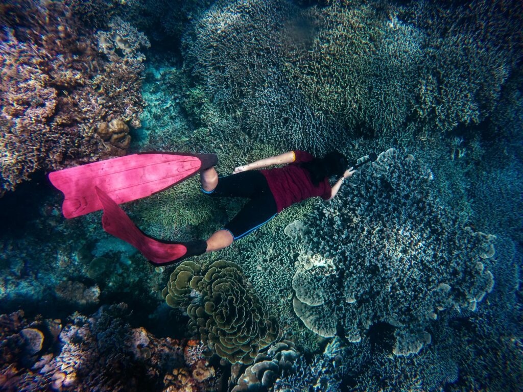 A person scuba diving in west bay